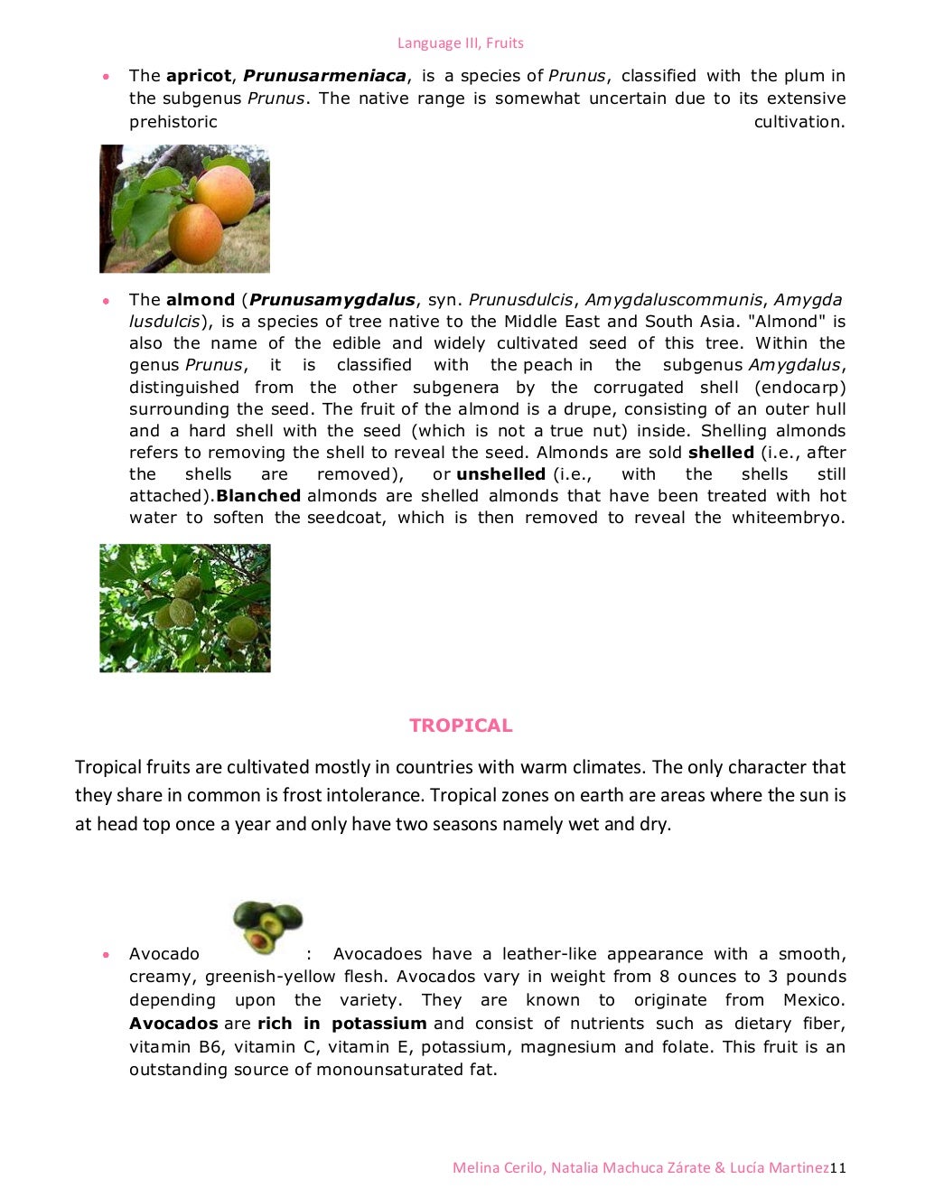 Classification of fruits