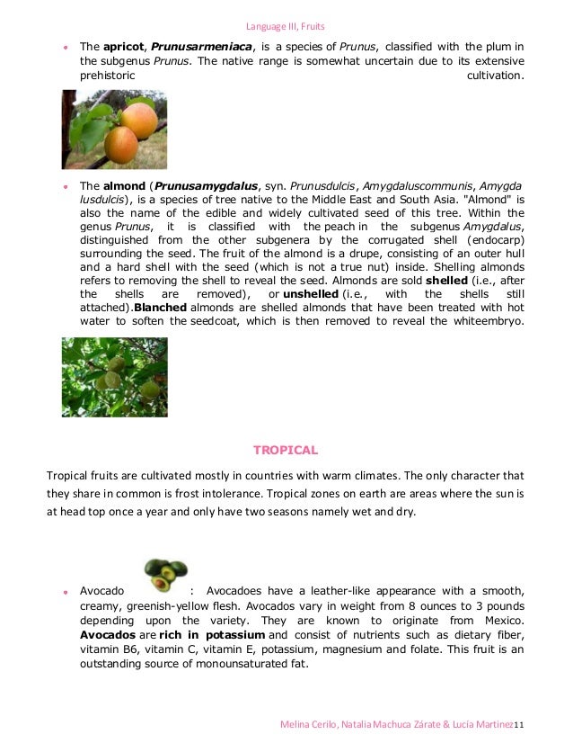 Classification of fruits