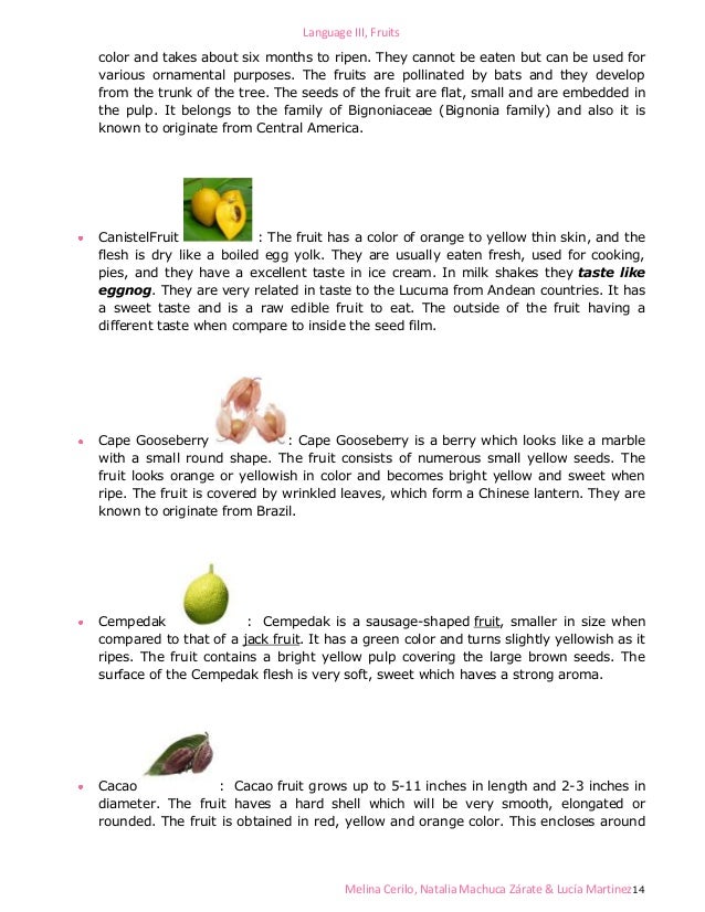 Classification of fruits