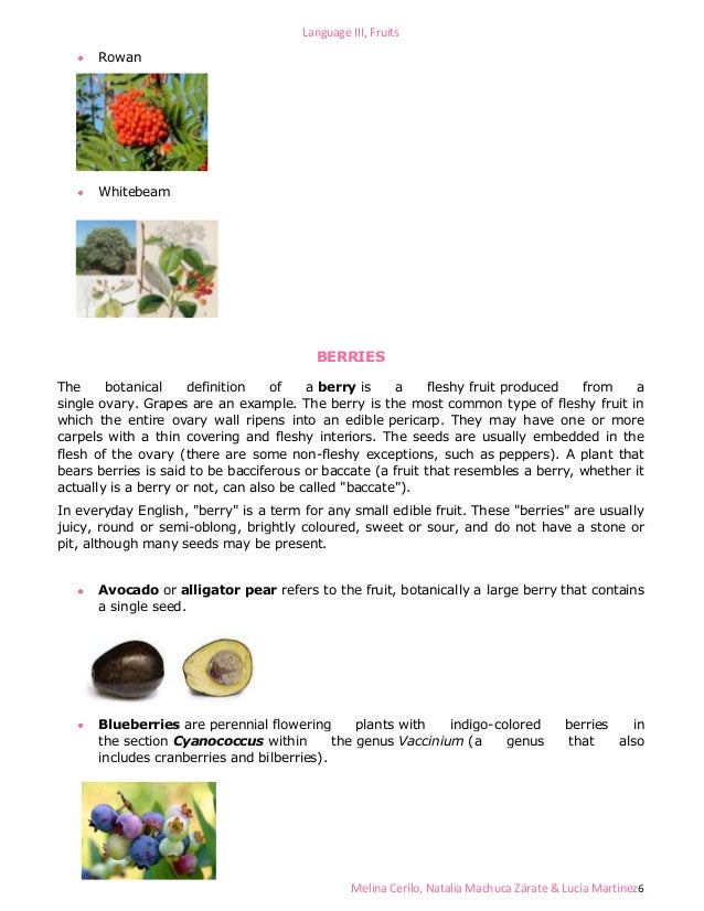 Classification of fruits