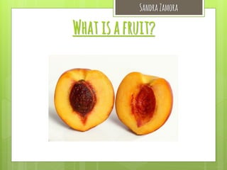 Sandra Zamora

What is a fruit?

 