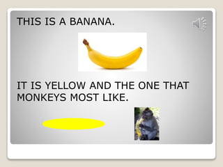 THIS IS A BANANA. 
IT IS YELLOW AND THE ONE THAT 
MONKEYS MOST LIKE. 
 
