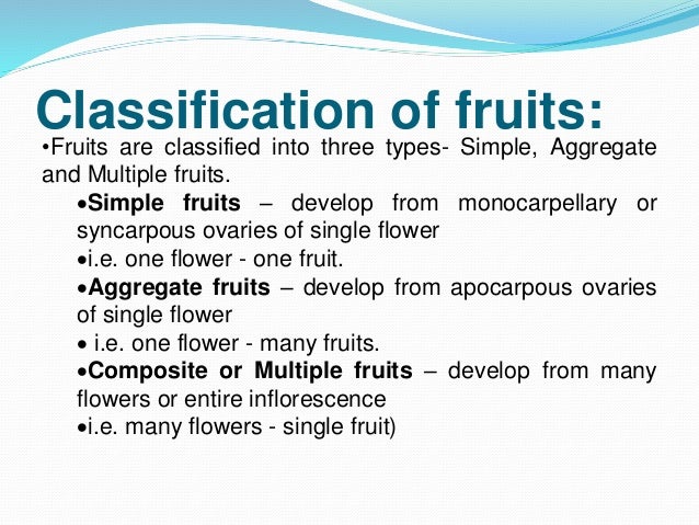 Fruit Classification Chart