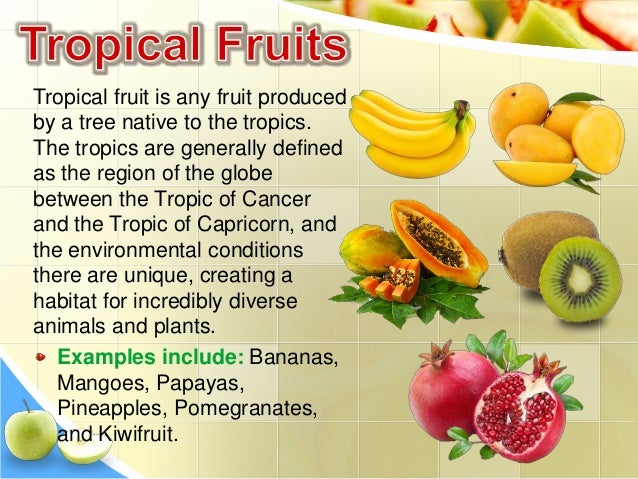 fruits that are healthy definition of a fruit fruits that are healthy definition of a fruit