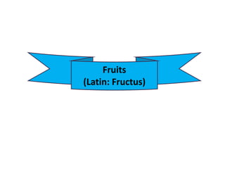 Fruits
(Latin: Fructus)
 