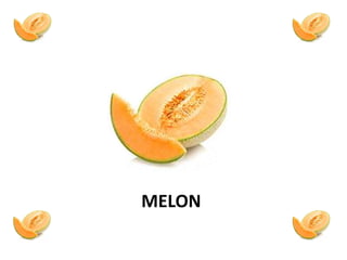 MELON
 