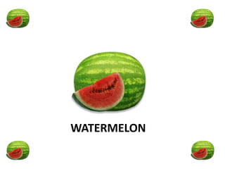 WATERMELON
 