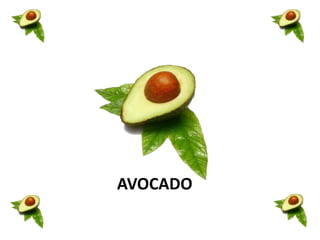 AVOCADO
 