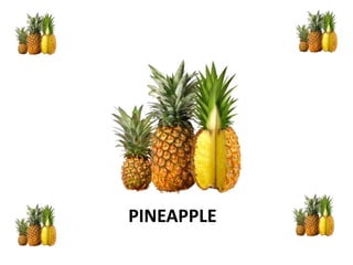 PINEAPPLE
 