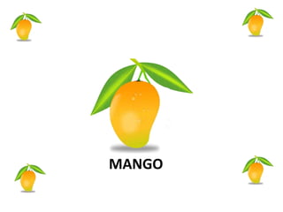 MANGO
 