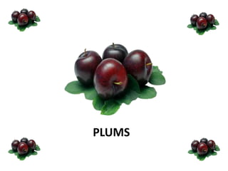 PLUMS
 