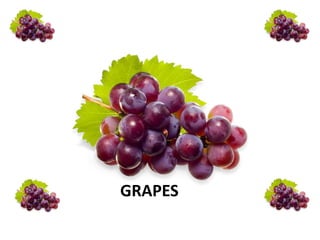 GRAPES
 
