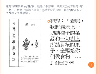 甲古文和金文的