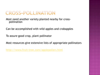 Cross-pollinationMost need another variety planted nearby for cross-pollinationCan be accomplished with wild apples and crabapplesTo assure good crop, plant pollinatorMost resources give extensive lists of appropriate pollinatorshttp://www.fruit-tree.com/applepollen.html