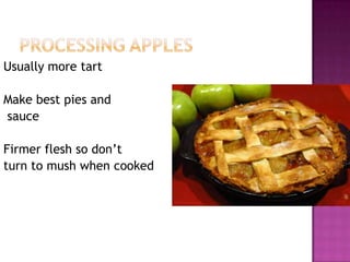 Processing applesUsually more tartMake best pies and sauceFirmer flesh so don’t turn to mush when cooked