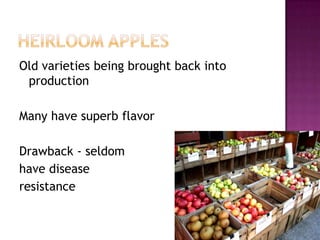 Heirloom applesOld varieties being brought back into productionMany have superb flavorDrawback - seldom have disease resistance