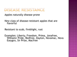 Disease resistanceApples naturally disease proneNew class of disease-resistant apples that are flavorfulResistant to scab, fireblight, rustExamples: Liberty, Freedom, Prima, Jonafree, Williams' Pride, Redfree, Dayton, Novamac, Nova Easygro, Sir Prize, Macfree