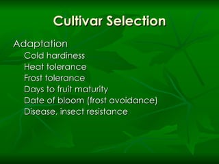 Cultivar Selection Adaptation Cold hardiness Heat tolerance Frost tolerance Days to fruit maturity Date of bloom (frost avoidance) Disease, insect resistance 