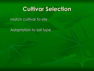 Cultivar Selection Match cultivar to site Adaptation to soil type 