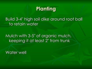 Planting Build 3-4" high soil dike around root ball to retain water Mulch with 3-5" of organic mulch, keeping it at least 2" from trunk Water well 