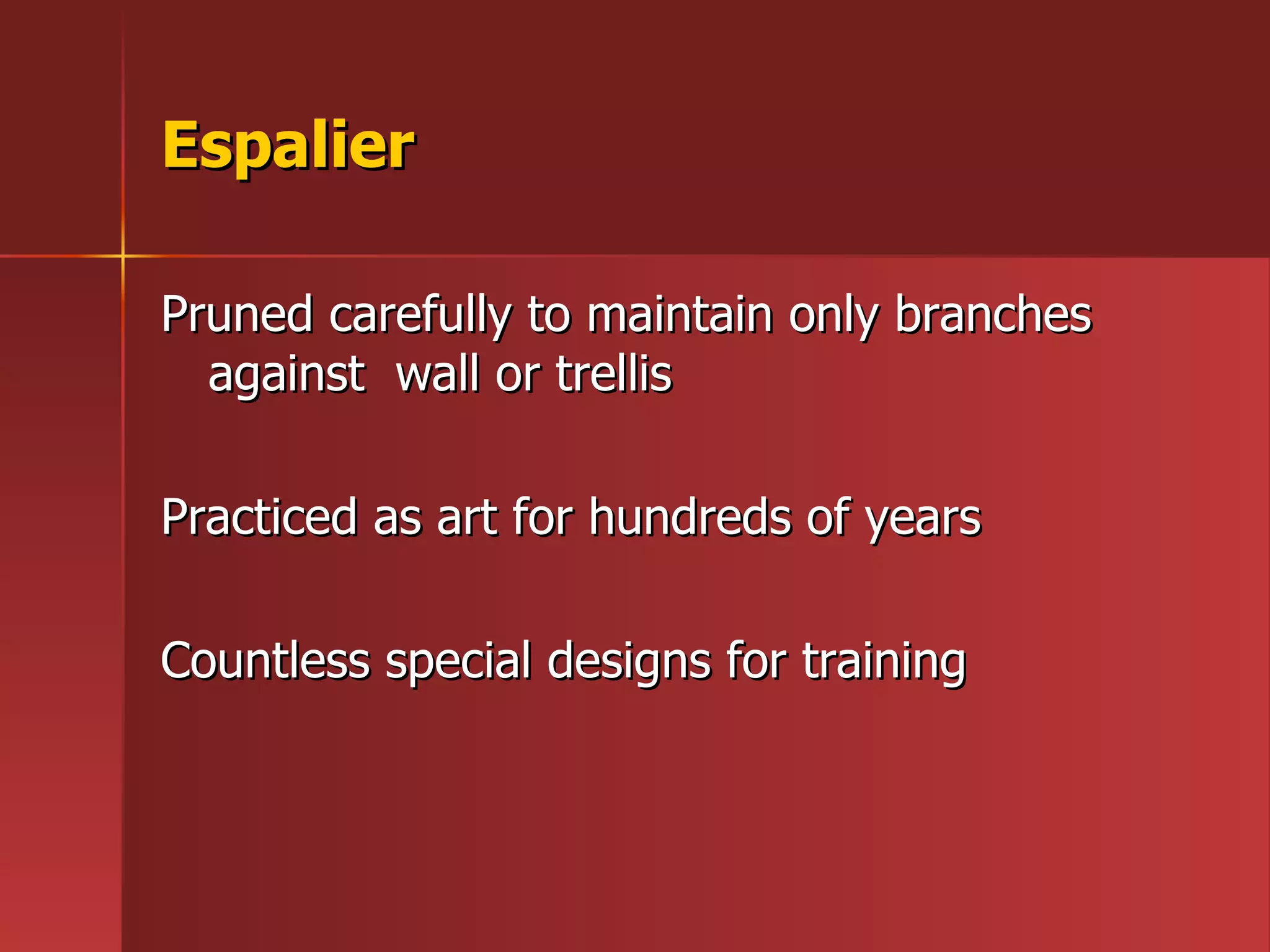 Espalier Pruned carefully to maintain only branches against  wall or trellis Practiced as art for hundreds of years Countless special designs for training 
