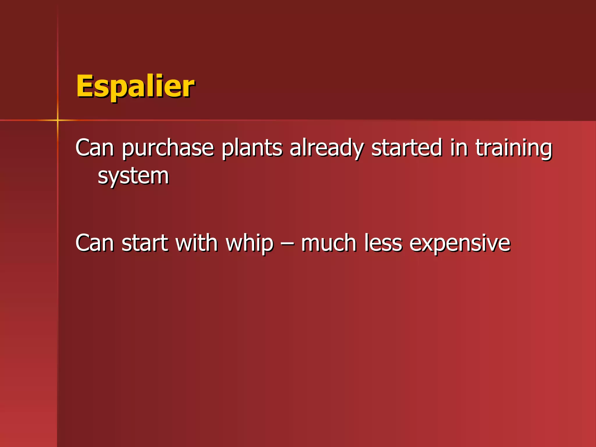 Espalier Can purchase plants already started in training system Can start with whip – much less expensive 