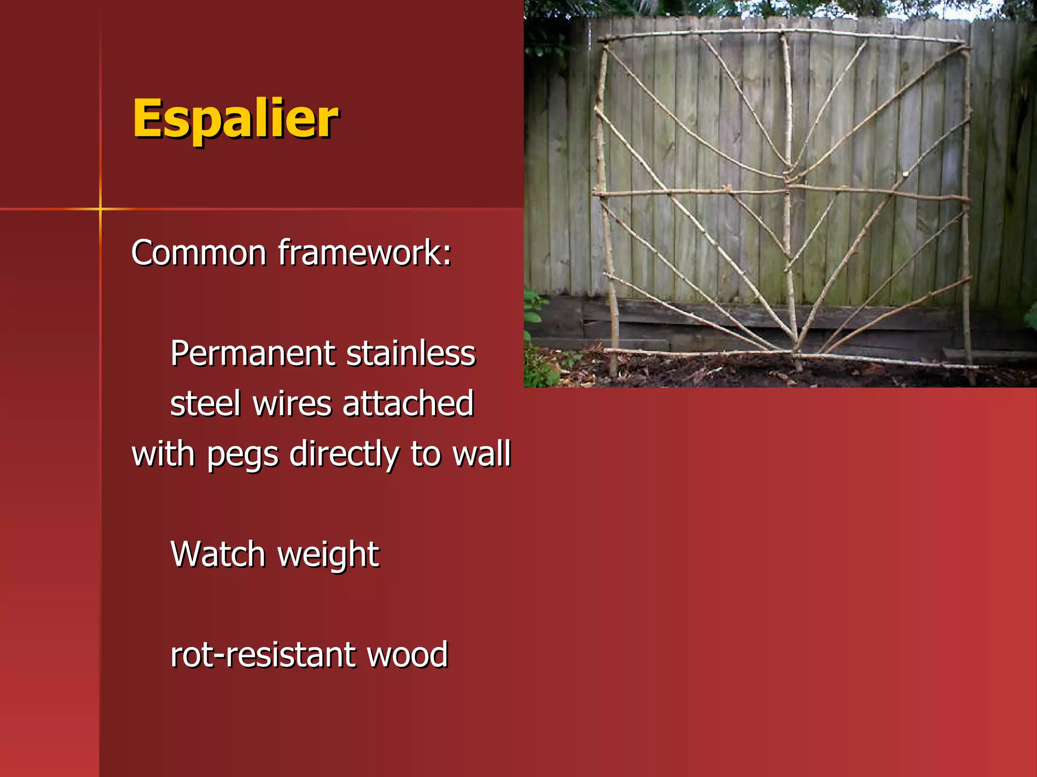 Espalier Common framework:  Permanent stainless  steel wires attached  with pegs directly to wall Watch weight rot-resistant wood 