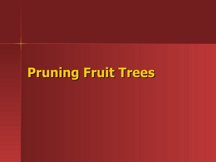 Fruits Tree Pruning