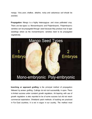 mango. Very poor, shallow, alkaline, rocky and calcareous soil should be
avoided.
Propagation: Mango is a highly heterozygous and cross pollinated crop.
There are two types i.e. Monoembryonic and Polyembryonic. Polyembryonic
varieties can be propagated through seed because they produce true to type
seedlings where as the monoembryonic varieties need to be propagated
vegetatively.
Inarching or approach grafting is the principal method of propagation
followed by veneer grafting. Cuttings do not root successfully in open. There
is limited success under constant growth regulators. Air layering with use of
growth regulators is also reported to be of some success but did not reach
commercial exploitation. Shieldand patch methods of budding are practiced
in Far East countries. It is not in vogue in our country. The method most
 