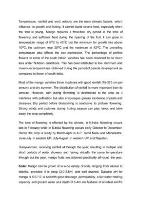 Temperature, rainfall and wind velocity are the main climatic factors, which
influence its growth and fruiting. It cannot stand severe frost, especially when
the tree is young. Mango requires a frost-free dry period at the time of
flowering and sufficient heat during the ripening of the fruit. It can grow in
temperature range of 0OC to 45OC but the minimum for growth lies above
10OC, the optimum near 25OC and the maximum at 42OC. The prevailing
temperature also effects the sex expression. The percentage of perfect
flowers in some of the south Indian varieties has been observed to be much
less under N.Indian conditions. This has been attributed to low, minimum and
maximum temperatures obtained during the period of panicle development as
compared to those of south India.
Most of the mango varieties thrive in places with good rainfall (75-375 cm per
annum) and dry summer. The distribution of rainfall is more important than its
amount. However, rain during flowering is detrimental to the crop as it
interferes with pollination but also encourages greater incidence of pests and
diseases. Dry period before blossoming is conducive to profuse flowering.
Strong winds and cyclones during fruiting season can play havoc and blow
away the crop completely.
The time of flowering is effected by the climate. In N.India flowering occurs
late in February while in S.India flowering occurs early October to December.
Hence the crop is ready by March-April in A.P, Tamil Nadu and Maharastra,
June-July in eastern UP; July-August in western UP and Rajastan.
Kanyakumari, receiving rainfall all through the year; resulting in multiple and
short periods of water showers and having virtually the same temperature
through out the year, mango fruits are obtained practically all-round the year.
Soils: Mango can be grown on a wide variety of soils, ranging from alluvial to
lateritic, provided it is deep (2.0-2.5m) and well drained. Suitable pH for
mango is 5.5-7.0 .A soil with good drainage ,permeability, a fair water holding
capacity and ground water at a depth 0f 3-4m are features of an ideal soil fro
 