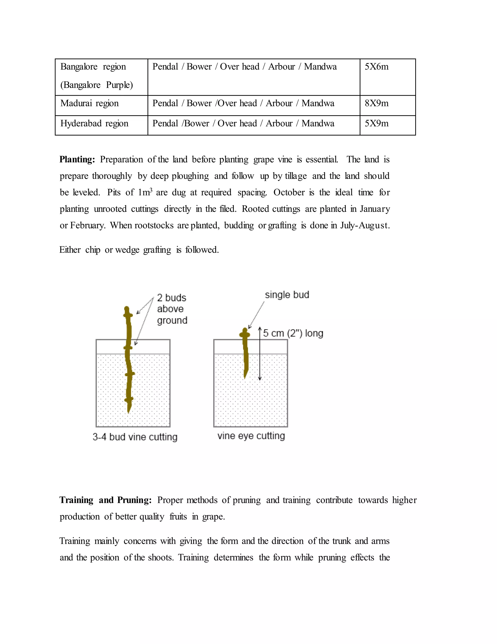 Bangalore region
(Bangalore Purple)
Pendal / Bower / Over head / Arbour / Mandwa 5X6m
Madurai region Pendal / Bower /Over head / Arbour / Mandwa 8X9m
Hyderabad region Pendal /Bower / Over head / Arbour / Mandwa 5X9m
Planting: Preparation of the land before planting grape vine is essential. The land is
prepare thoroughly by deep ploughing and follow up by tillage and the land should
be leveled. Pits of 1m3 are dug at required spacing. October is the ideal time for
planting unrooted cuttings directly in the filed. Rooted cuttings are planted in January
or February. When rootstocks are planted, budding or grafting is done in July-August.
Either chip or wedge grafting is followed.
Training and Pruning: Proper methods of pruning and training contribute towards higher
production of better quality fruits in grape.
Training mainly concerns with giving the form and the direction of the trunk and arms
and the position of the shoots. Training determines the form while pruning effects the
 