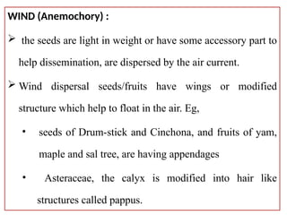 morphology of Fruits and Seed used as lecture note | PPTX