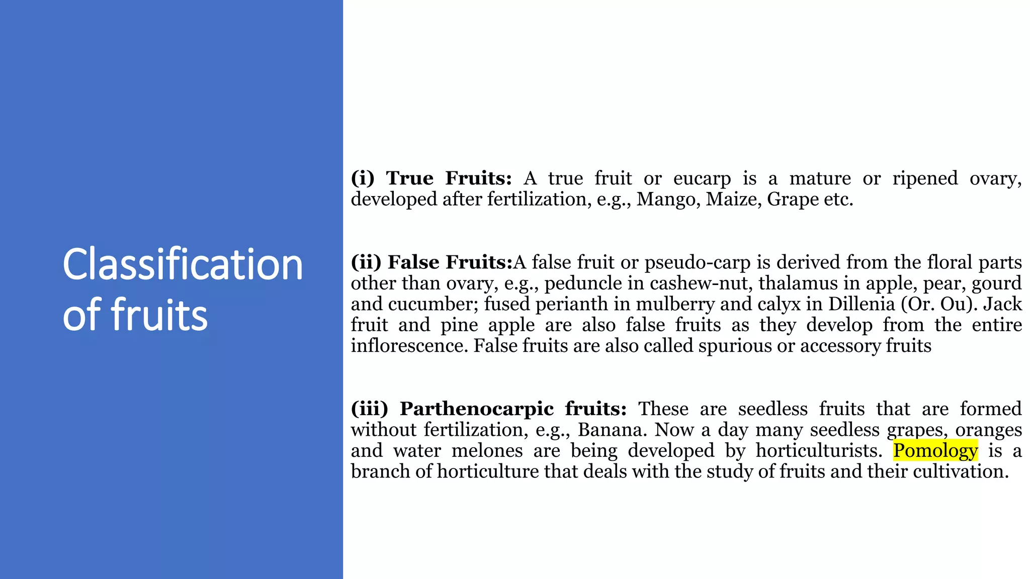 Classification
of fruits
(i) True Fruits: A true fruit or eucarp is a mature or ripened ovary,
developed after fertilization, e.g., Mango, Maize, Grape etc.
(ii) False Fruits:A false fruit or pseudo-carp is derived from the floral parts
other than ovary, e.g., peduncle in cashew-nut, thalamus in apple, pear, gourd
and cucumber; fused perianth in mulberry and calyx in Dillenia (Or. Ou). Jack
fruit and pine apple are also false fruits as they develop from the entire
inflorescence. False fruits are also called spurious or accessory fruits
(iii) Parthenocarpic fruits: These are seedless fruits that are formed
without fertilization, e.g., Banana. Now a day many seedless grapes, oranges
and water melones are being developed by horticulturists. Pomology is a
branch of horticulture that deals with the study of fruits and their cultivation.
 