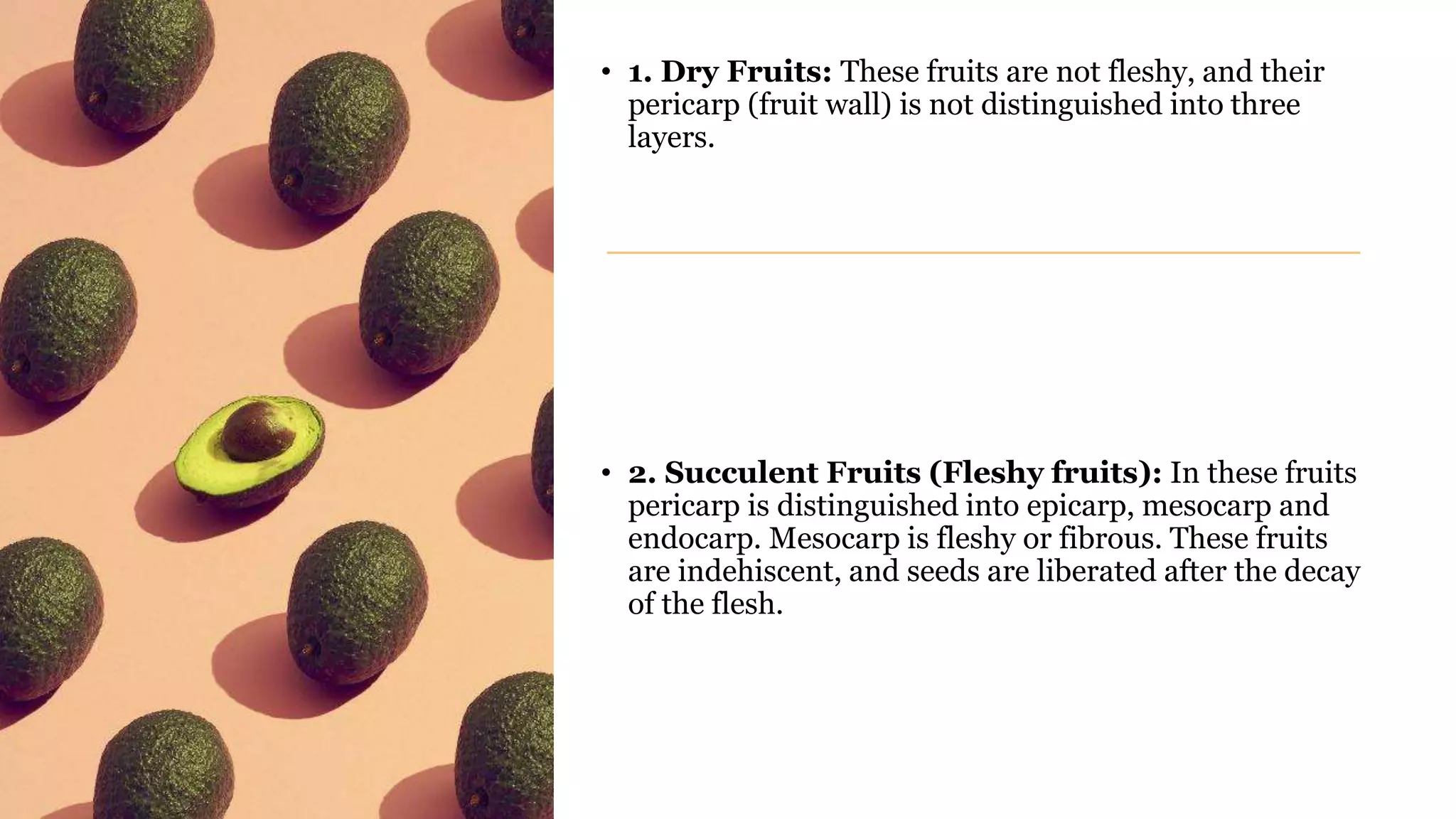 • 1. Dry Fruits: These fruits are not fleshy, and their
pericarp (fruit wall) is not distinguished into three
layers.
• 2. Succulent Fruits (Fleshy fruits): In these fruits
pericarp is distinguished into epicarp, mesocarp and
endocarp. Mesocarp is fleshy or fibrous. These fruits
are indehiscent, and seeds are liberated after the decay
of the flesh.
 