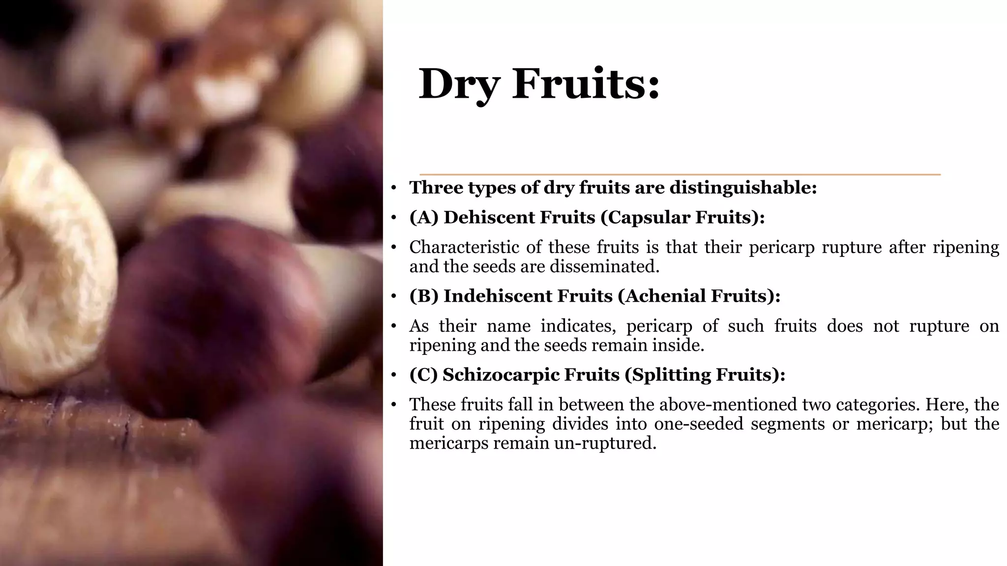 Dry Fruits:
• Three types of dry fruits are distinguishable:
• (A) Dehiscent Fruits (Capsular Fruits):
• Characteristic of these fruits is that their pericarp rupture after ripening
and the seeds are disseminated.
• (B) Indehiscent Fruits (Achenial Fruits):
• As their name indicates, pericarp of such fruits does not rupture on
ripening and the seeds remain inside.
• (C) Schizocarpic Fruits (Splitting Fruits):
• These fruits fall in between the above-mentioned two categories. Here, the
fruit on ripening divides into one-seeded segments or mericarp; but the
mericarps remain un-ruptured.
 