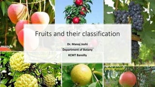 Fruits and their classification
Dr. Manoj Joshi
Department of Botany
KCMT Bareilly
 