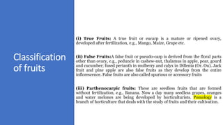 Fruits and their classification.pptx