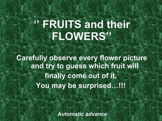 ‘’  FRUITS and their FLOWERS’’ ,[object Object],[object Object],[object Object],Automatic advance 