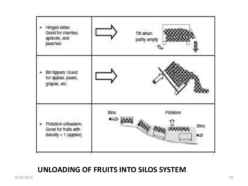 Fruits and vegetable processing 1