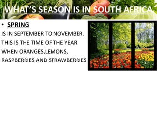 WHAT’S SEASON IS IN SOUTH AFRICA
• SPRING
IS IN SEPTEMBER TO NOVEMBER.
THIS IS THE TIME OF THE YEAR
WHEN ORANGES,LEMONS,
RASPBERRIES AND STRAWBERRIES
 