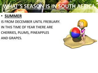 WHAT’S SEASON IS IN SOUTH AFRICA
• SUMMER
IS FROM DECEMBER UNTIL FREBUARY.
IN THIS TIME OF YEAR THERE ARE
CHERRIES, PLUMS, PINEAPPLES
AND GRAPES.
 