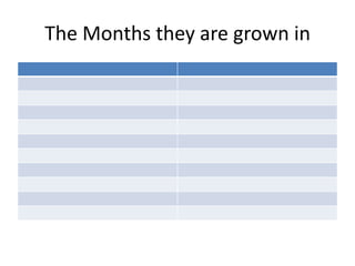 The Months they are grown in