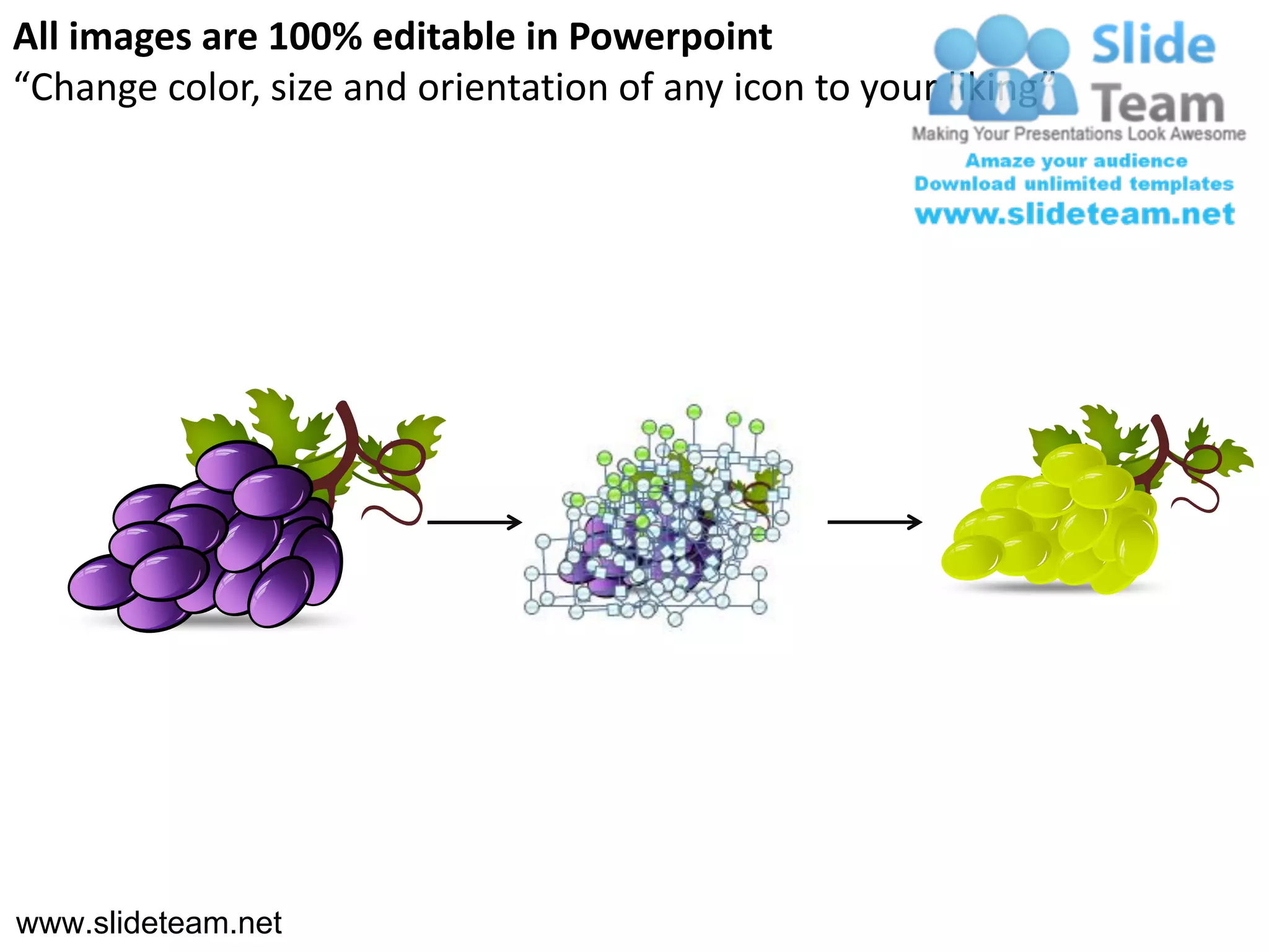 All images are 100% editable in Powerpoint
“Change color, size and orientation of any icon to your liking”




www.slideteam.net
 