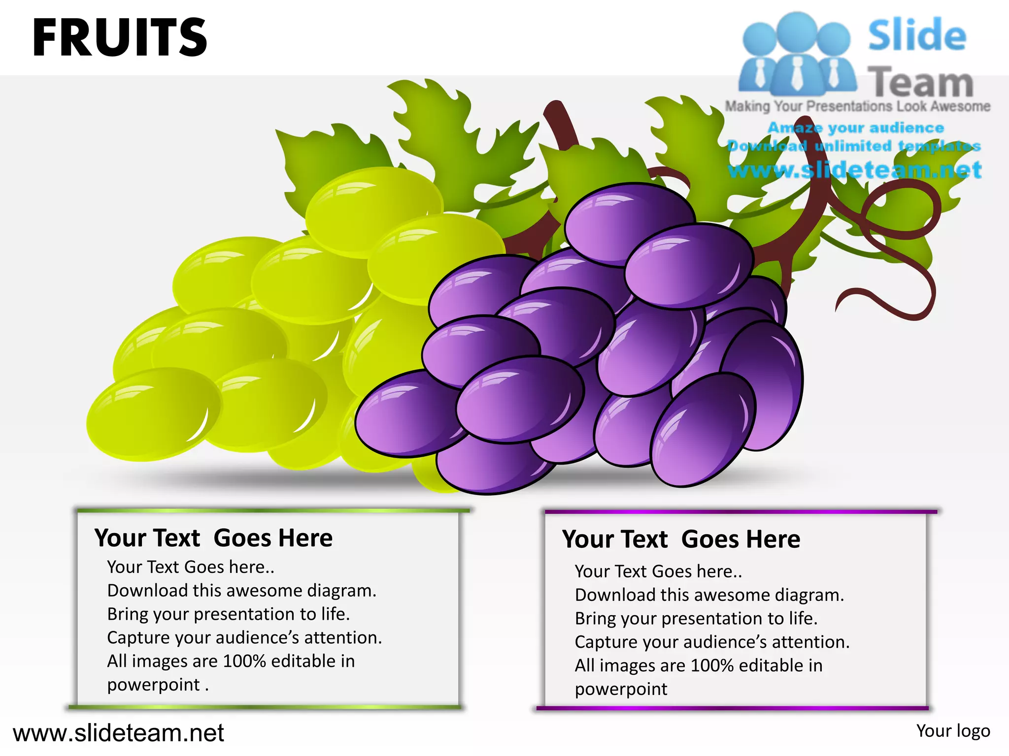 FRUITS




      Your Text Goes Here                   Your Text Goes Here
       Your Text Goes here..                 Your Text Goes here..
       Download this awesome diagram.        Download this awesome diagram.
       Bring your presentation to life.      Bring your presentation to life.
       Capture your audience’s attention.    Capture your audience’s attention.
       All images are 100% editable in       All images are 100% editable in
       powerpoint .                          powerpoint

www.slideteam.net                                                                 Your logo
 