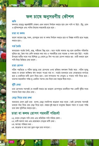 Introduction of Fruits and Cultivation Strategy 