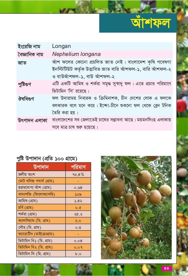 Introduction of Fruits and Cultivation Strategy