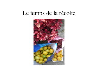 Le temps de la récolte
 