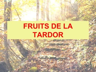FRUITS DE LA
TARDOR
 
