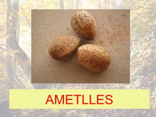 AMETLLES
 