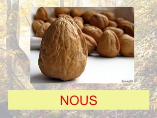 NOUS
 
